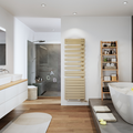 Rendering Zehnder Roda Spa Air Asym Decorative radiator Front view