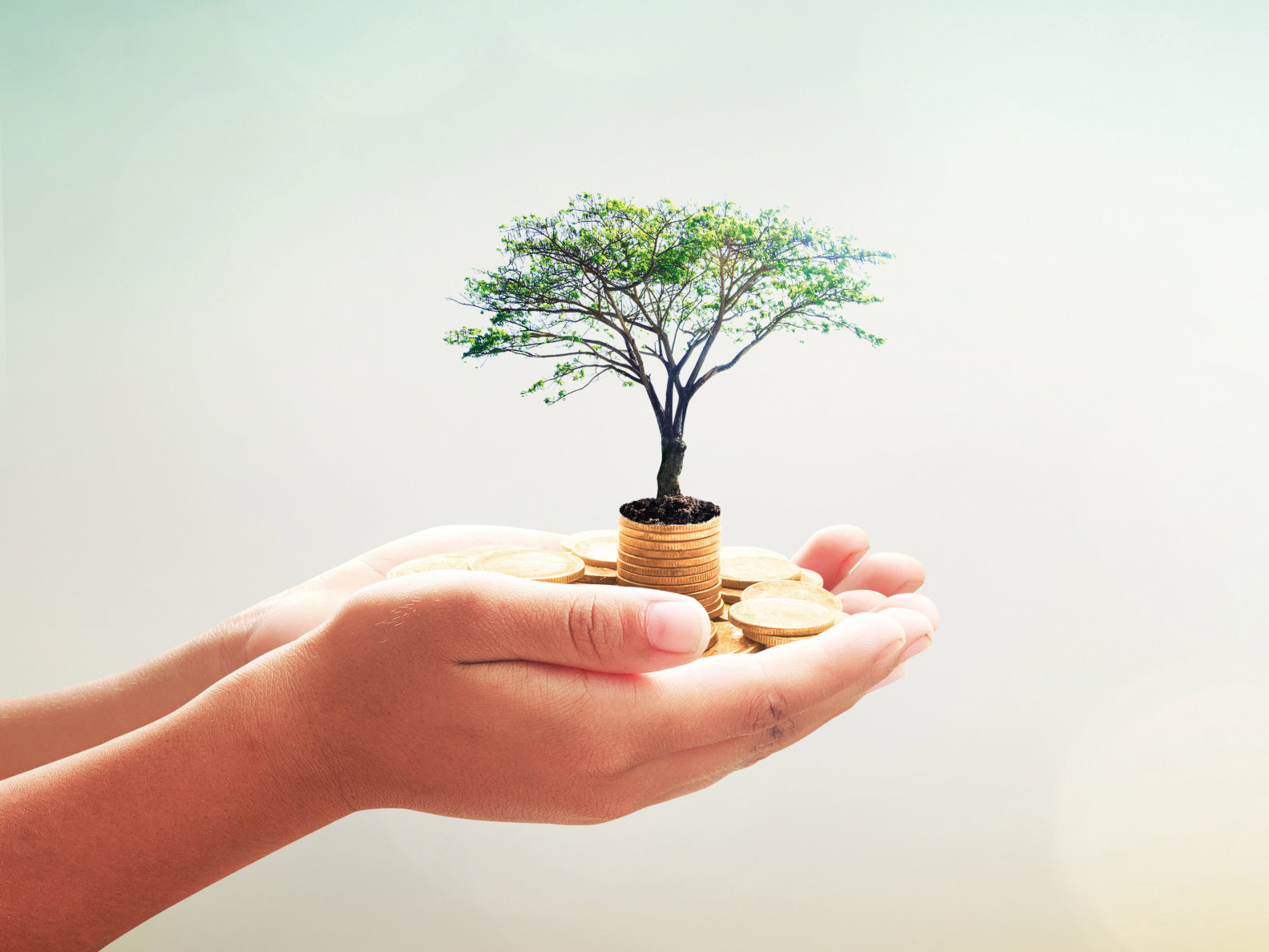 Reducir, reutilizar y reciclar para un hogar más sostenible y amigable con el medio ambiente. Reducir, reutilizar y reciclar para un hogar más sostenible y amigable con el medio ambiente.