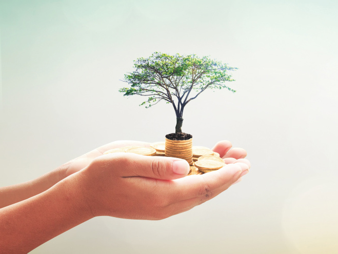 Reducir, reutilizar y reciclar para un hogar más sostenible y amigable con el medio ambiente. Reducir, reutilizar y reciclar para un hogar más sostenible y amigable con el medio ambiente.