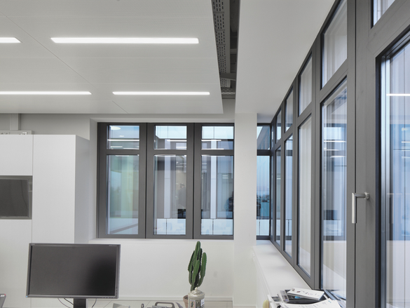 Reference Carboline  Bottom view