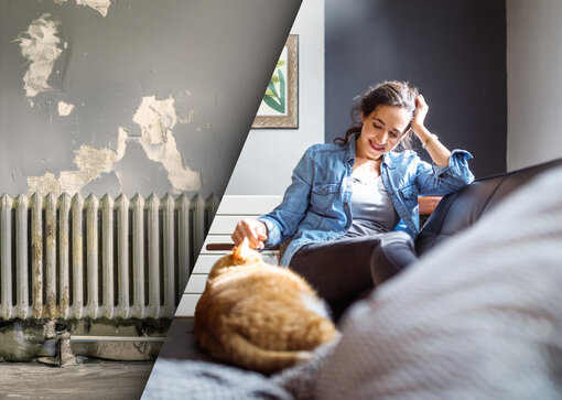 Zehnder_ALL_ExpReno_Projekt_Energ_Reno_Visual01_251121_web