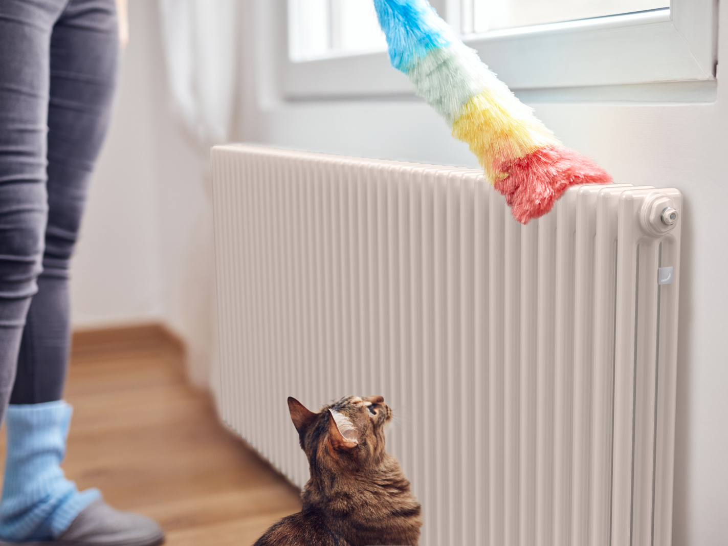 Key Visual Zehnder Charleston Decorative radiator Angled view